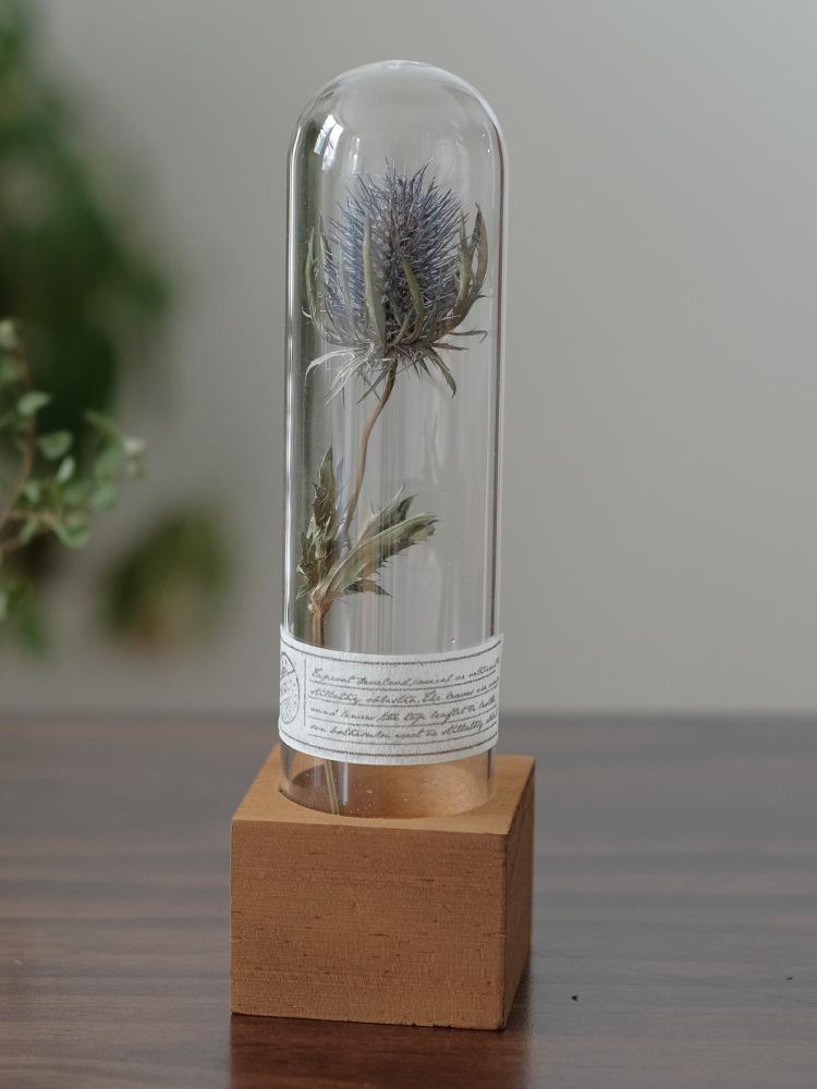 Wabi-Sabi Style Xian Porcelain Test Tube Rack: Retro Gift for Dried and Preserved Flowers, Plant Specimen Display