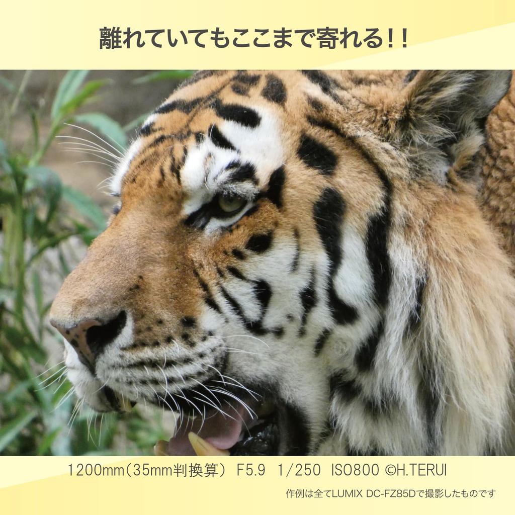 Panasonic Цифровая камера LUMIX с 60-кратным оптическим зумом, совместимая с черной камерой DC-FZ85D-K