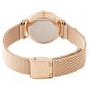Coach Perry C Logo Mesh Strap Watch