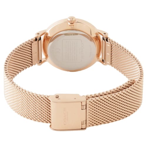 Coach Perry C Logo Mesh Strap Watch