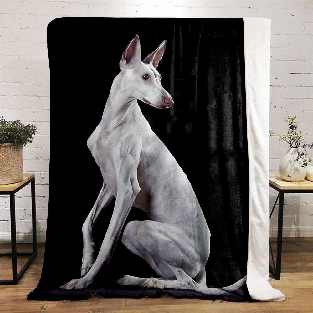 White Ibizan Hound Blanket bedroom Blanket for Livingroom Couch lunch break Soft throw for Friend's festival Gift