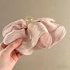 PC Cloud Crab Claw Clip Large Size Shark Clip Elegant Pleated Hair Claw  Daily