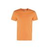 Polo Ralph Lauren Pony Embroidered Crewneck T Shirt 710671438-406