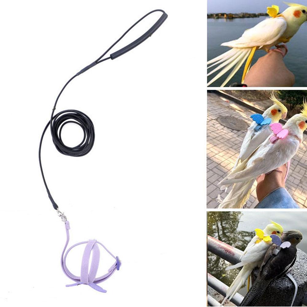 Принадлежности для птиц Тяговый трос для попугая пиона, волнистого попугайчика, для тренировок на улице, шлейка-поводок для домашней птицы
