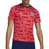 Спортивная футбольная футболка Dri FIT мужская FJ2725-660