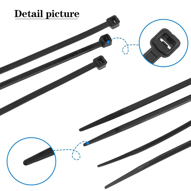4.8*200/100pcs Factory Directly Supply High Quality Plastic Nylon Self-locking Cable Zip Ties