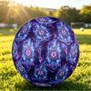 Personalized Size 5 Football Austria Wien FC Pattern Outdoor Game Sports Ball Gift