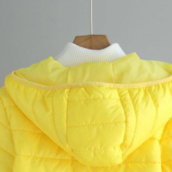 Fall Winter Women Jacket Thick Padded Warm Windproof Soft Zipper Closure Loose Cardigan Hooded Long Sleeve Lady Down Coat