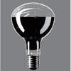 Reflex Light Bulb Outdoor 110V 500 Type E39 Base 160mm Diameter (for Use) RF110V450WH/D