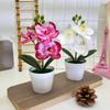 Butterfly Orchid Fake Flower Pot Plant For Event Decorations And Photography Sessions