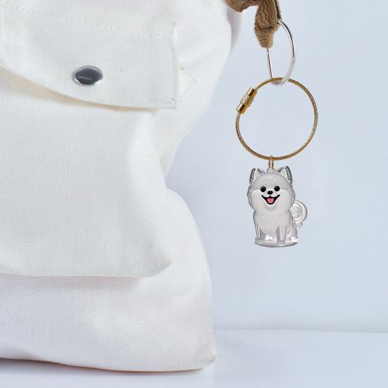 3Pcs Cat Hair Storage Box Keychain Transparent Acrylic Dog Hair Memorial Bottle Pet Hair Collector Container Key Ring Pet Owner Keepsake Gift