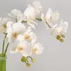 Butterfly Orchid Artificial Orchid Flower Real Touch Realistic Simulation Big Moth Orchid Luxury Handmade Fake Flower Branch