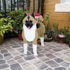 Independent Station Cross-border Garden Art Craft Ornaments: Dog & Cat Flower Pot and Planter