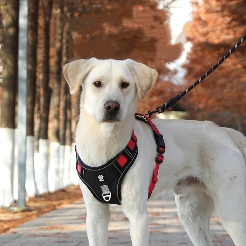 Multi-Point Adjustment Anti-Pull Dog Harness Reflective Dog Leash Dog Chest Strap Daily Walks