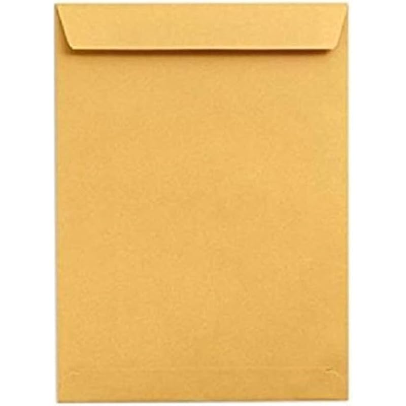 True-Ally Laminated Yellow Paper A4 Size Envelope, Poly Laminated Inside,10 X 12 Inch (25)
