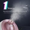MKS Nano Mist Горячий и холодный паровой аппарат для лица Вилка CN (адаптер в комплекте)