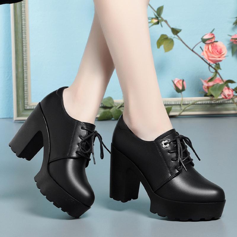 Temperament High Heels Women's Lace-up Shoes Waterproof Platform Thick-soled Ladies' Leather Shoes