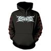 Ingested Unisex Adult The Tide Of Death And Fractured Dreams Hoodie