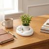 Uniquely Cat Sleeping Flowerpot 3D Printed Succulent Pot Cat-Shaped Planter Pot  Study Room