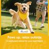 Foldable Dog Ramp With Artificial Anti slip Surface Portable And Lightweight For Cars Home 155 X 38.5 X 15.5 Cm