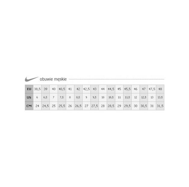 Кроссовки Nike 415445-103