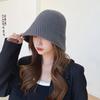 Ветрозащитная Повседневная Теплая Модная Защита Ушей Женская Шапка Вязаная Шапка Корейский Стиль Шапки-Бини Панама