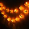 2M/ 3M Pumpkin  LED String Lights Waterproof Pumpkin Crystal Lights  Porch