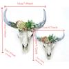Resin Succulents Cow Skull Wall Pendant Flower Rose White Ox Head Resin Pendant European American Home Garden Decorations