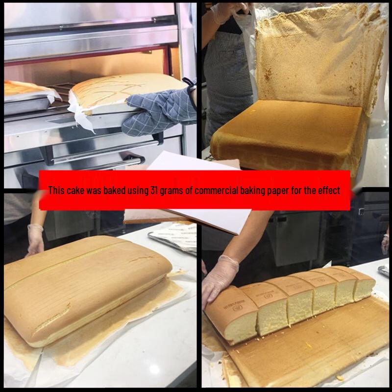 Ru Han Non-Stick Silicone Baking & Frying Paper