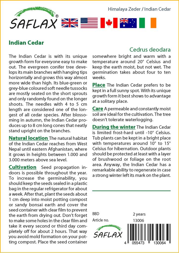 SAFLAX Кедр индийский - 35 семян - Cedrus deodara