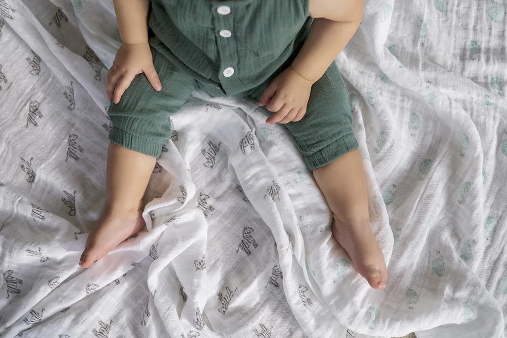 Aiden and Anais Japanese Genuine Swaddle Set of 2 Newborn Night Cry Prevention Gauze Baby Baby Gift Baby Gift Aden Anais Animal Kingdom ASWO20004 120