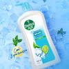 Dettol Men's Mint Ice Cool Body Wash