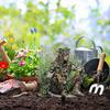 Деревянный эльф Акриловая табличка Колышек Устойчивый к погодным условиям 2D Плоский Фея Колышек Растения Горшок Украшение В помещении На улице Сад Двор Газон Патио Орнамент