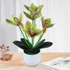 Artificial Plant Pot Orchid Flower Home Decor Plastic Wedding Parties Simulation Bonsai for Living Room