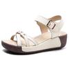 Fashion Platform Sandals Woman Summer 2024 New Open Toe Plus Size 35-41 Medium Heel Casual Wedges Sandals for Beach Office Buckle Strap