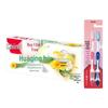 Зубная паста Zhonghua Herbal Gum Care с зубной щеткой (набор)
