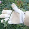 Leather Gardening Gloves Thorn-resistant Wear-resistant Garden Work