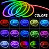 Neon Led Strip Lights Bluetooth Music Led Tape Light 220V Soft Led Lighting Strip Outdoor Waterproof Led Strip 12V Rgb