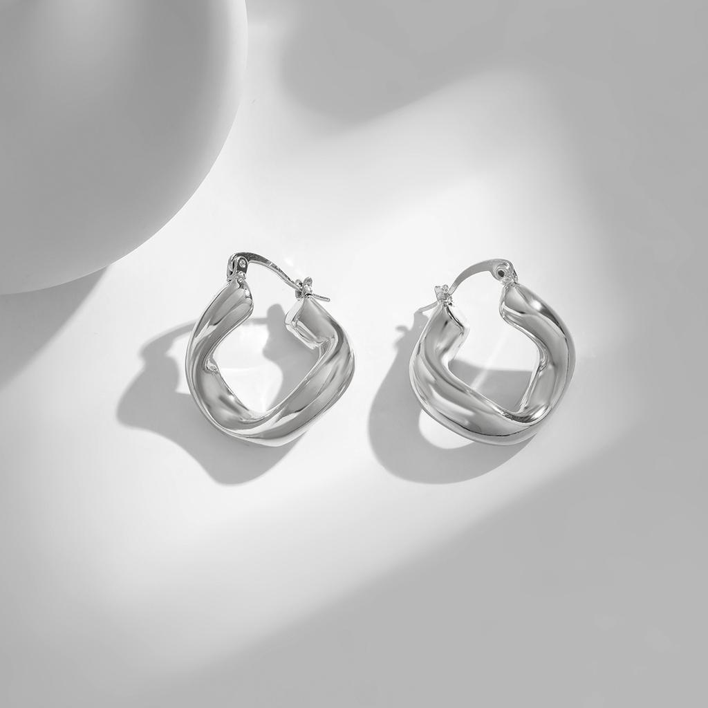 Retro Irregular Geometric Design Earrings Women's Autumn and Winter Simple Cold Wind Niche Design Personalized Earrings