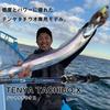 DAIWA Tenya Tachiuo X 91-180 R fishing rod black