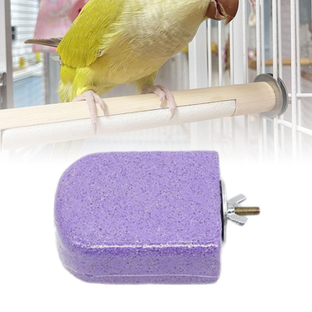 Chew Toy Platform Perch Stand Grinding Stone for