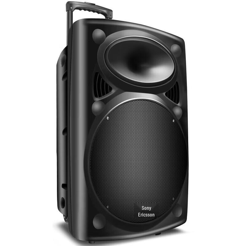 Soaiy SA-X35 12-inch Portable Karaoke Bluetooth Speaker with Dual Microphones