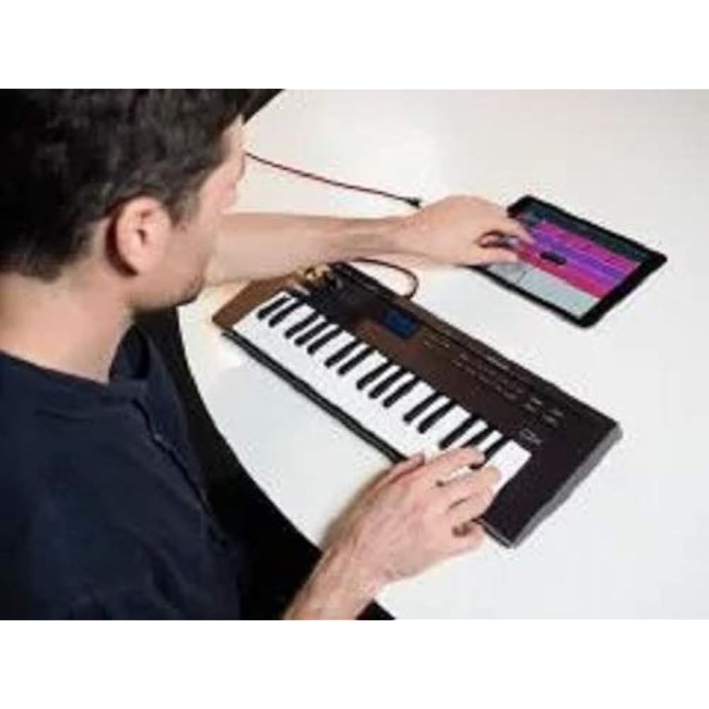 Yamaha YAMAHA synthesizer Reface CP with built-in speaker and battery power support to achieve “a...