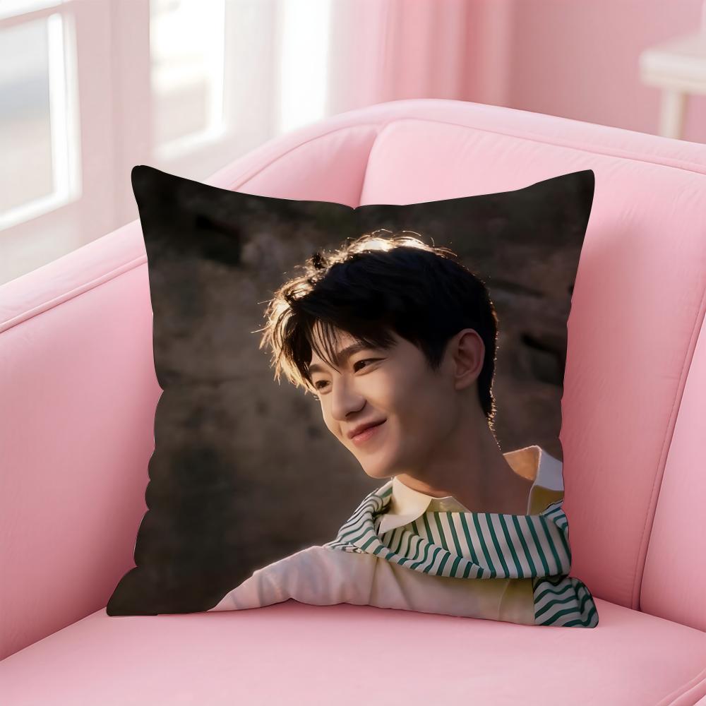 actor handsome YYang Yang Cushion Cover Pillow Case Soft Skin Friendly Fabric Concealed Zipper