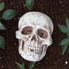Реалистичная фигура черепа в натуральную величину, украшение в виде человеческого черепа, декор на Хэллоуин, статуя ужаса из смолы, водонепроницаемое украшение для дома и офиса, двора