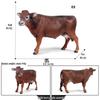 Cognitive Animal Model Toy: Dairy Cow, Buffalo, Yellow Cattle, Rhinoceros, Simmental Bull