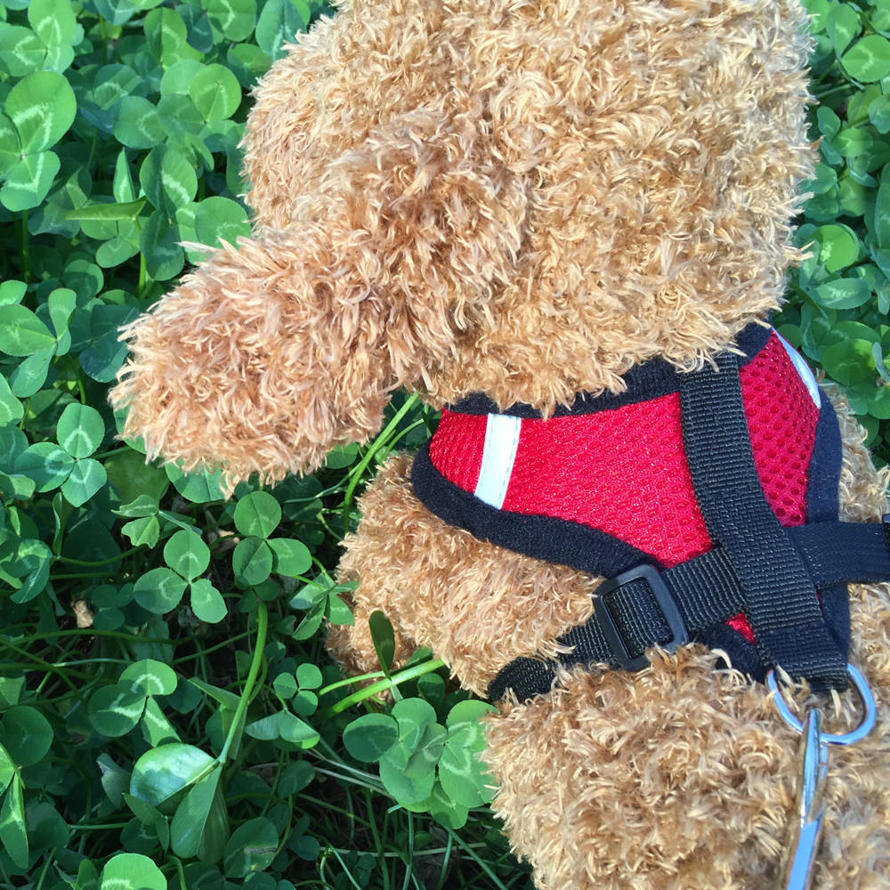 Ling Chong Pet Dog Leads Регулируемые нагрудные ремни для маленьких домашних животных
