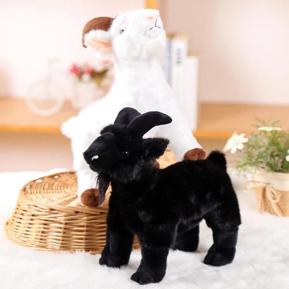 Soft Toy