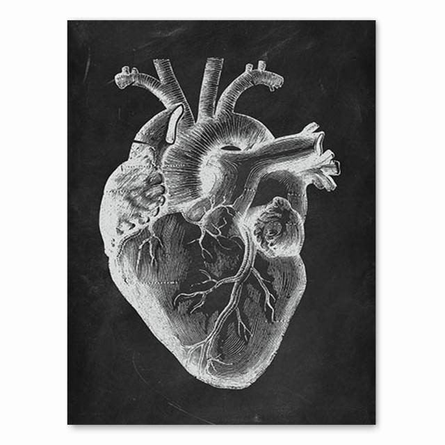 Анатомия человека, художественная работа, медицинская клиника, настенная картина, скелет, орган, мышечная система, винтажный холст с принтом, плакат для обучения телу, без рамки