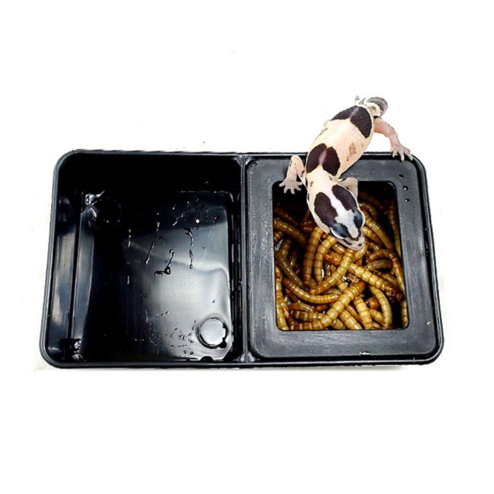 Anti-escape Reptile Feeding Bowl Black/White Worm Dish Plastic Breeding Feeders Box Turtle
